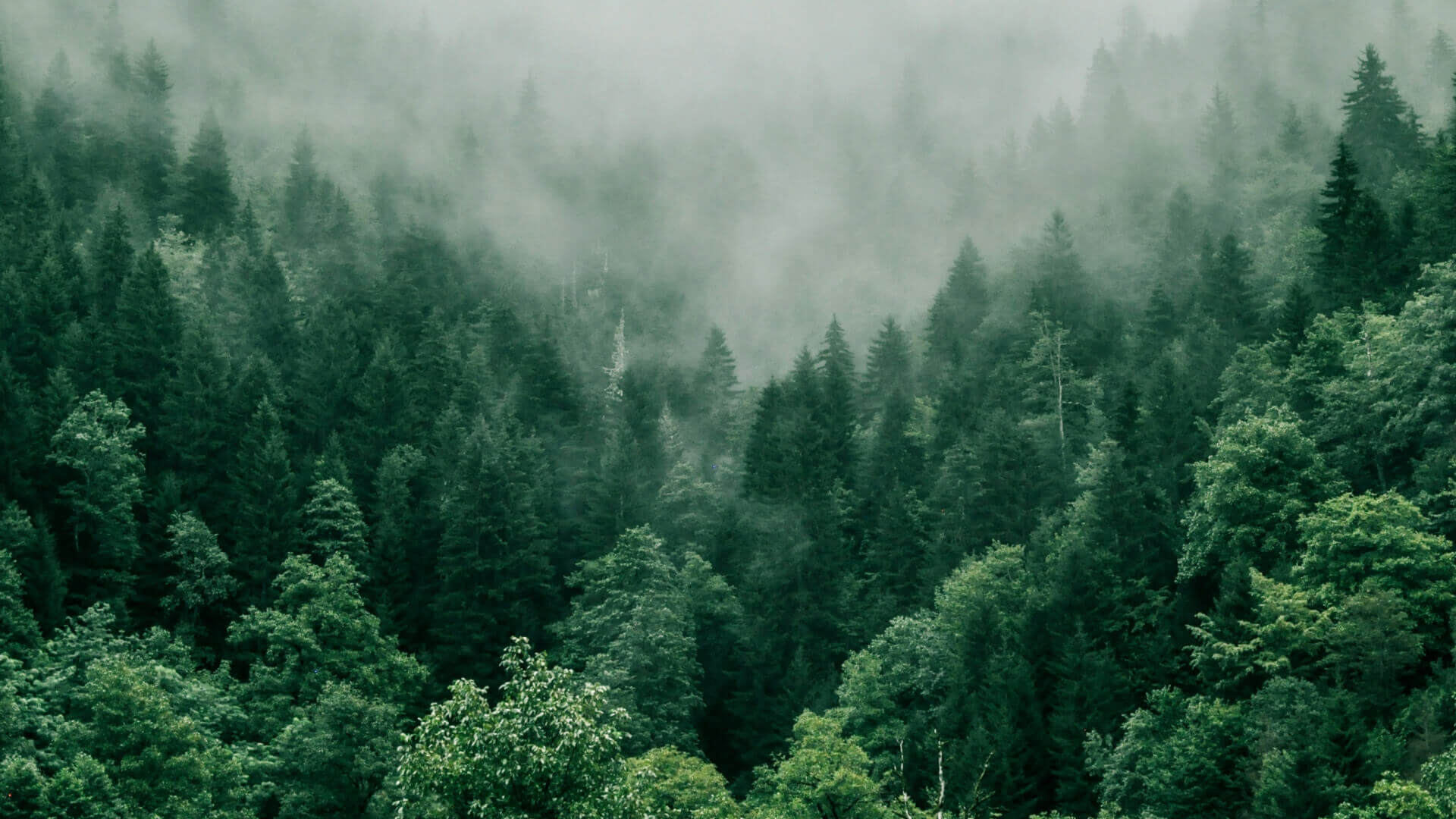 加盟3522集团的新网站